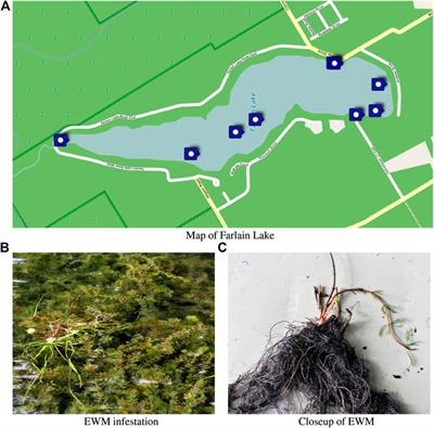 Monitoring Re-Growth of Invasive Plants Using an Autonomous Surface Vessel